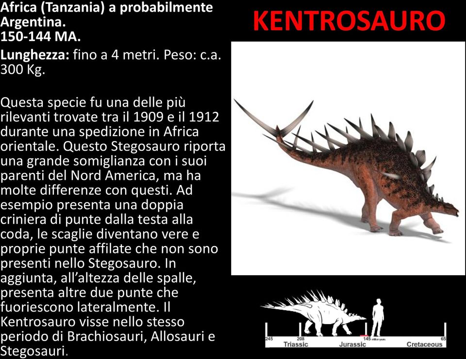 Questo Stegosauro riporta una grande somiglianza con i suoi parenti del Nord America, ma ha molte differenze con questi.