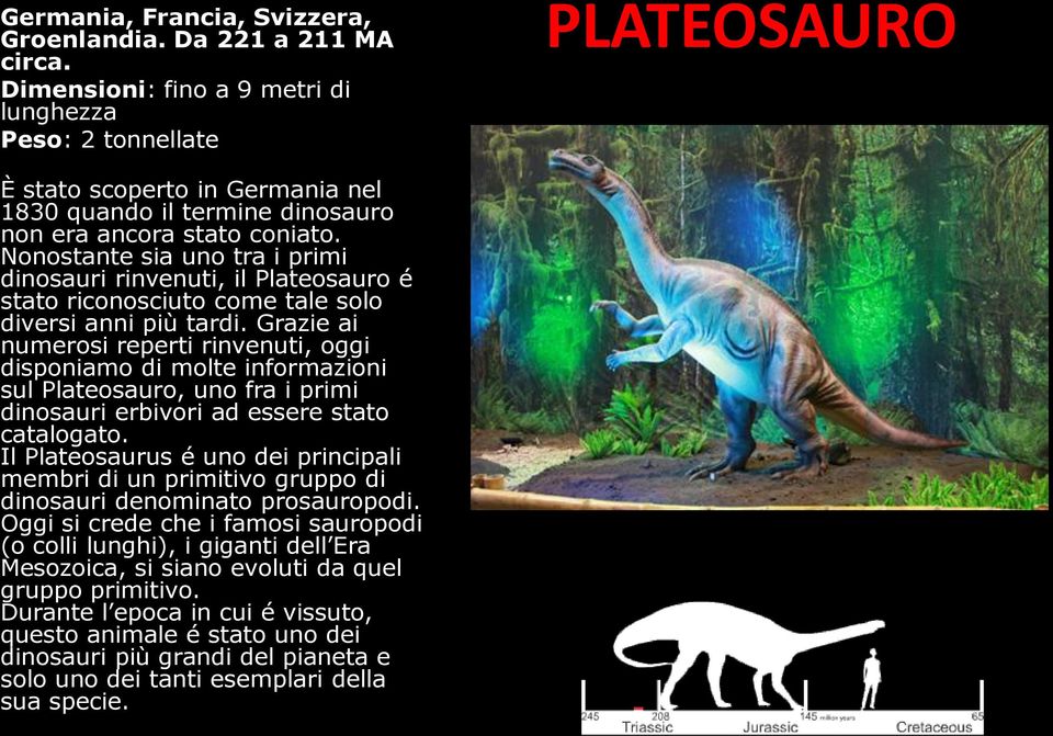 Nonostante sia uno tra i primi dinosauri rinvenuti, il Plateosauro é stato riconosciuto come tale solo diversi anni più tardi.