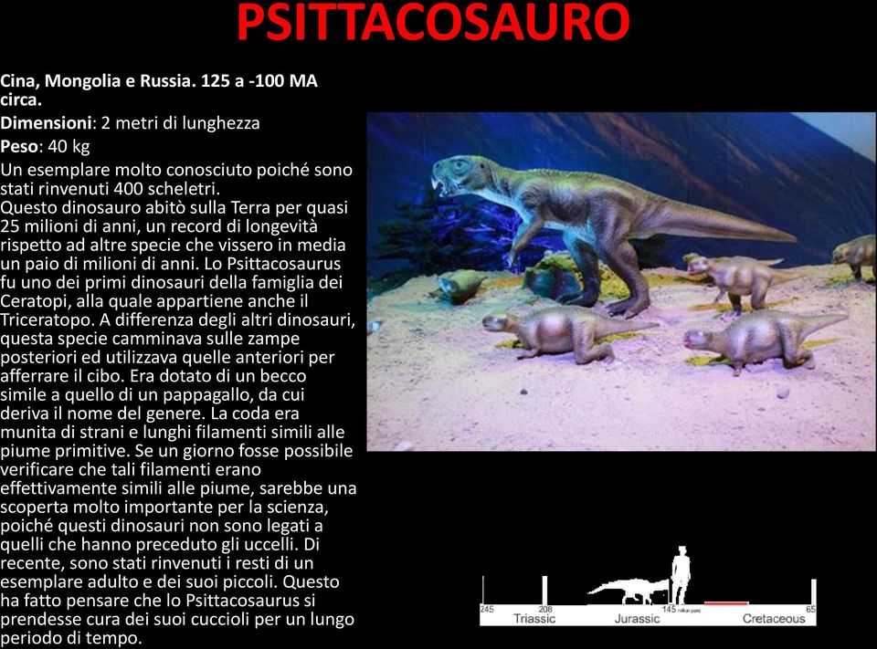 Lo Psittacosaurus fu uno dei primi dinosauri della famiglia dei Ceratopi, alla quale appartiene anche il Triceratopo.