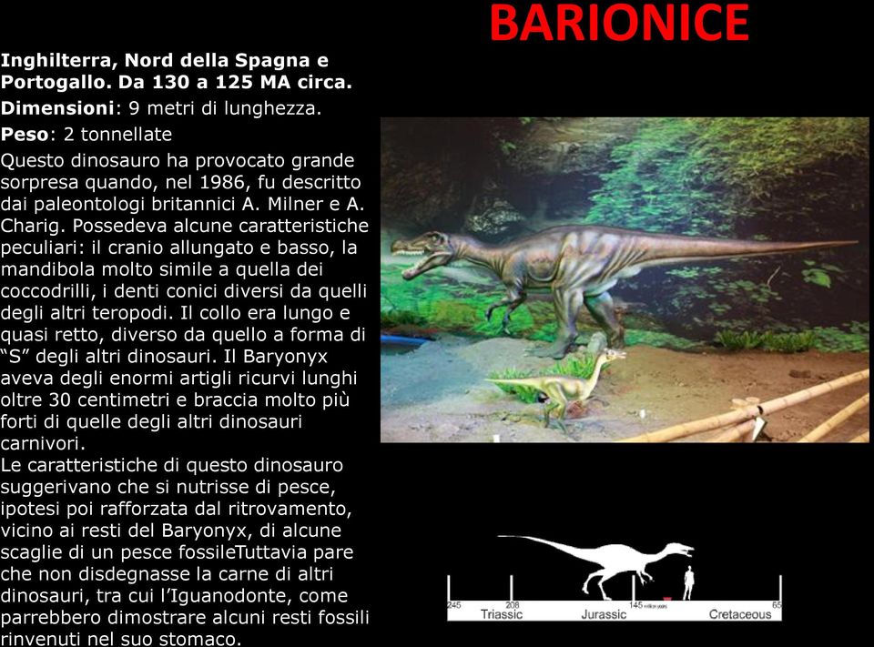 Possedeva alcune caratteristiche peculiari: il cranio allungato e basso, la mandibola molto simile a quella dei coccodrilli, i denti conici diversi da quelli degli altri teropodi.