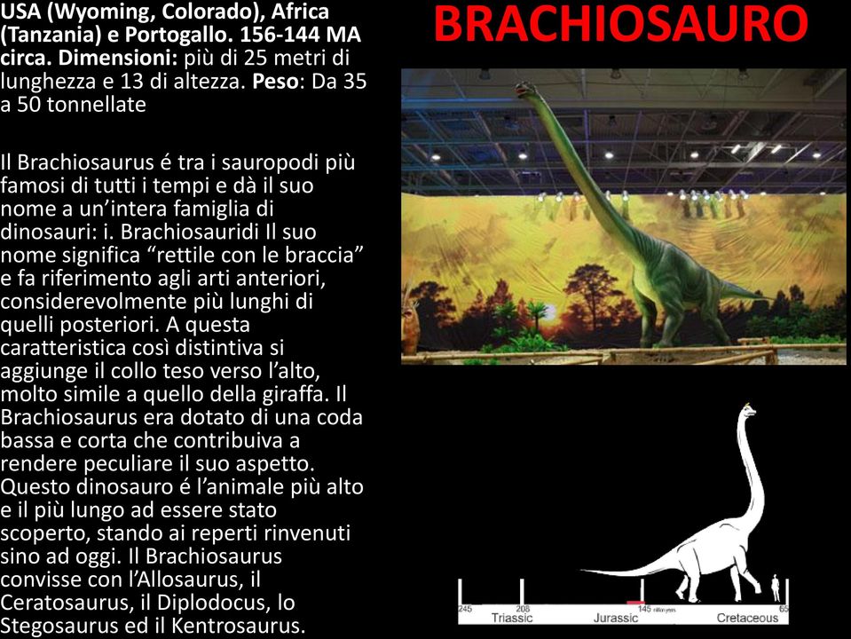 Brachiosauridi Il suo nome significa rettile con le braccia e fa riferimento agli arti anteriori, considerevolmente più lunghi di quelli posteriori.