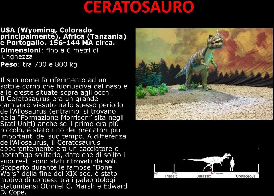 Il Ceratosaurus era un grande carnivoro vissuto nello stesso periodo dell Allosaurus (entrambi si trovano nella Formazione Morrison sita negli Stati Uniti) anche se il primo era più piccolo, é stato