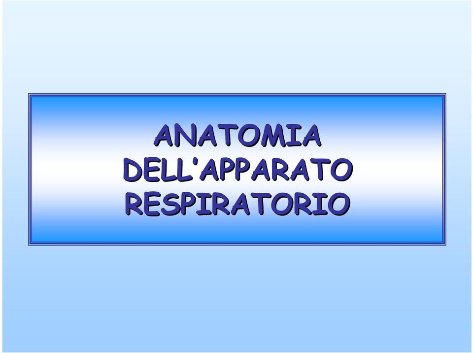 APPARATO