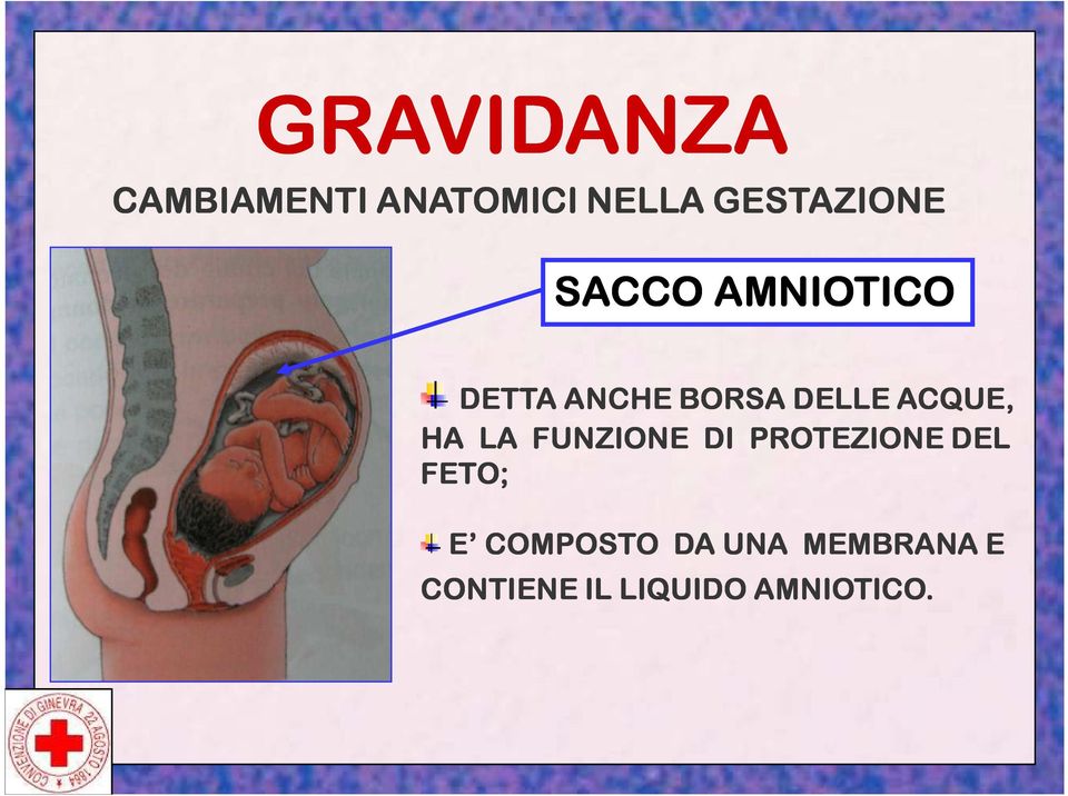 DELLE ACQUE, HA LA FUNZIONE DI PROTEZIONE DEL