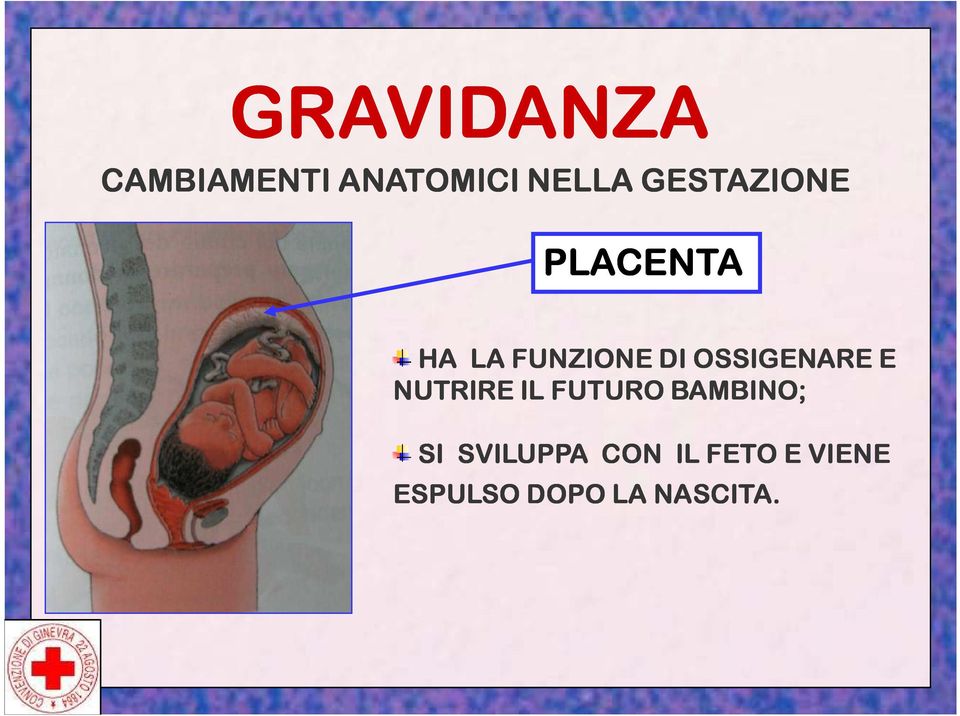 OSSIGENARE E NUTRIRE IL FUTURO BAMBINO; SI