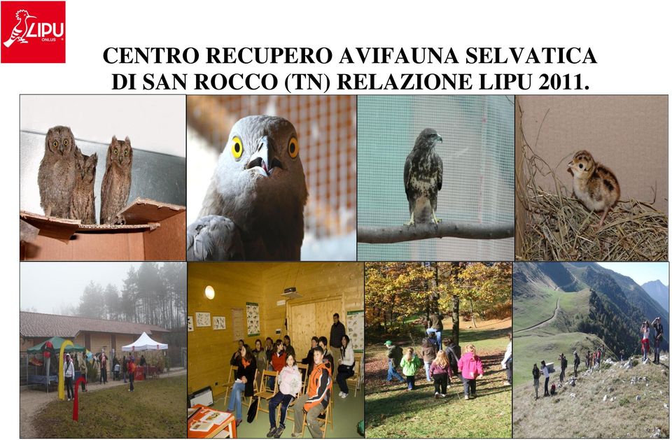 DI SAN ROCCO (TN)