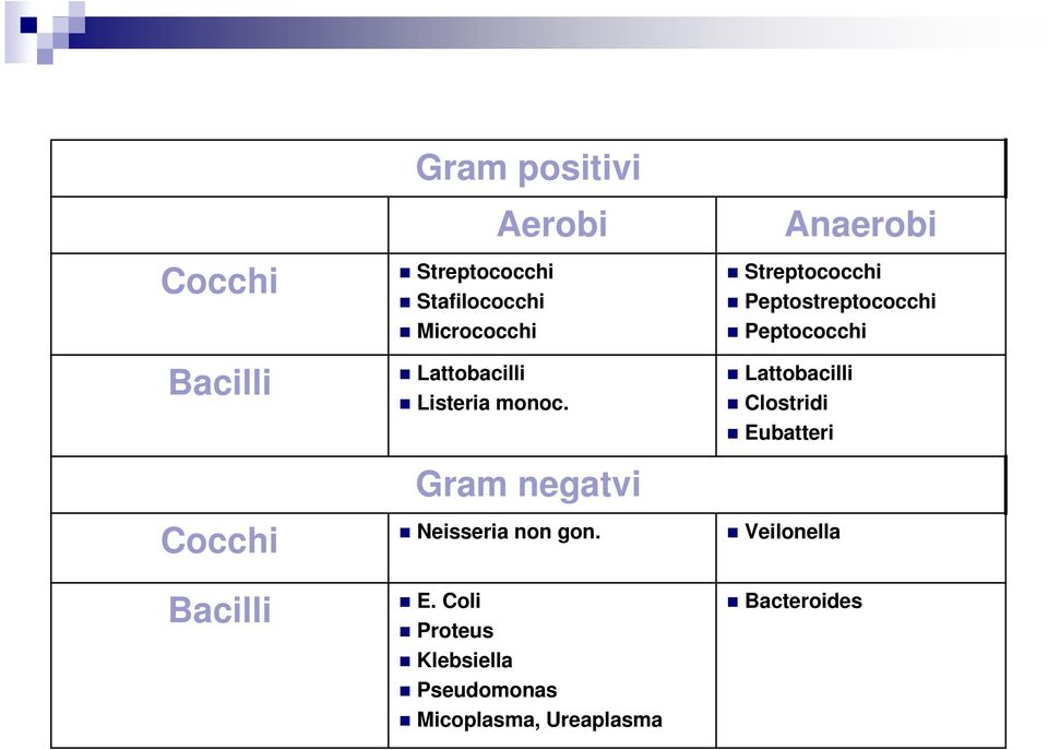 Anaerobi Streptococchi Peptostreptococchi Peptococchi Lattobacilli Clostridi