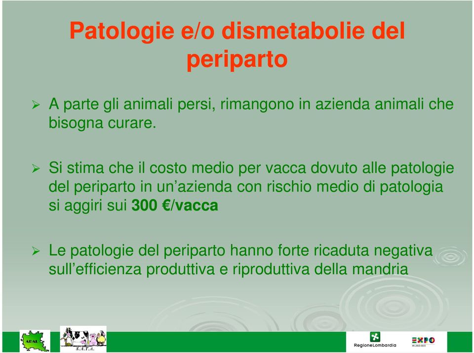 Si stima che il costo medio per vacca dovuto alle patologie del periparto in un azienda con