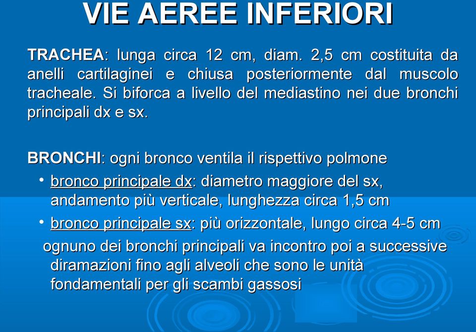 BRONCHI: ogni bronco ventila il rispettivo polmone bronco principale dx: diametro maggiore del sx, andamento più verticale, lunghezza circa