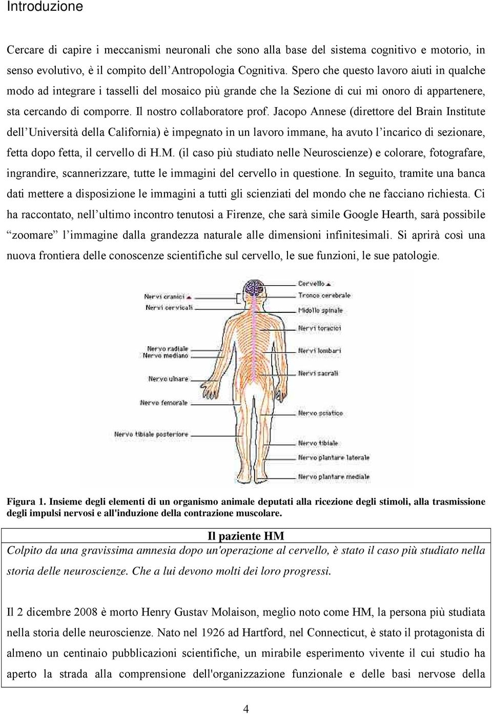 Jacopo Annese (direttore del Brain Institute dell Università della California) è impegnato in un lavoro immane, ha avuto l incarico di sezionare, fetta dopo fetta, il cervello di H.M.