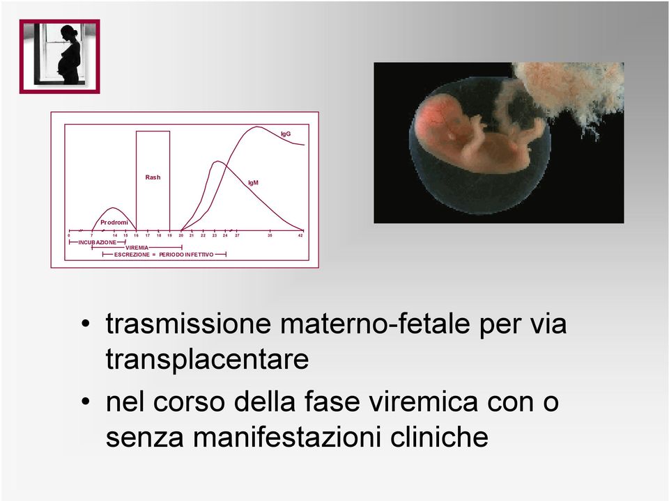 INFETTIVO trasmissione materno-fetale per via