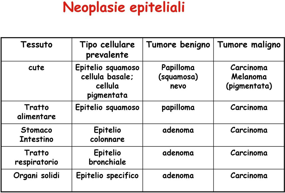 (squamosa) nevo Carcinoma Melanoma (pigmentata) Epitelio squamoso papilloma Carcinoma Epitelio colonnare