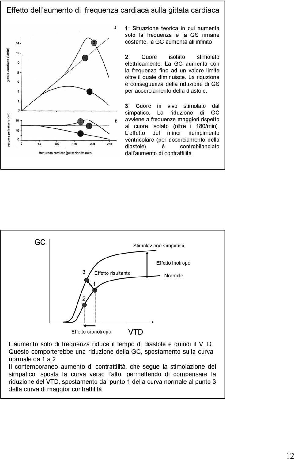 3: Cuore in vivo stimolato dal simpatico. La riduzione di GC avviene a frequenze maggiori rispetto al cuore isolato (oltre i 180/min).