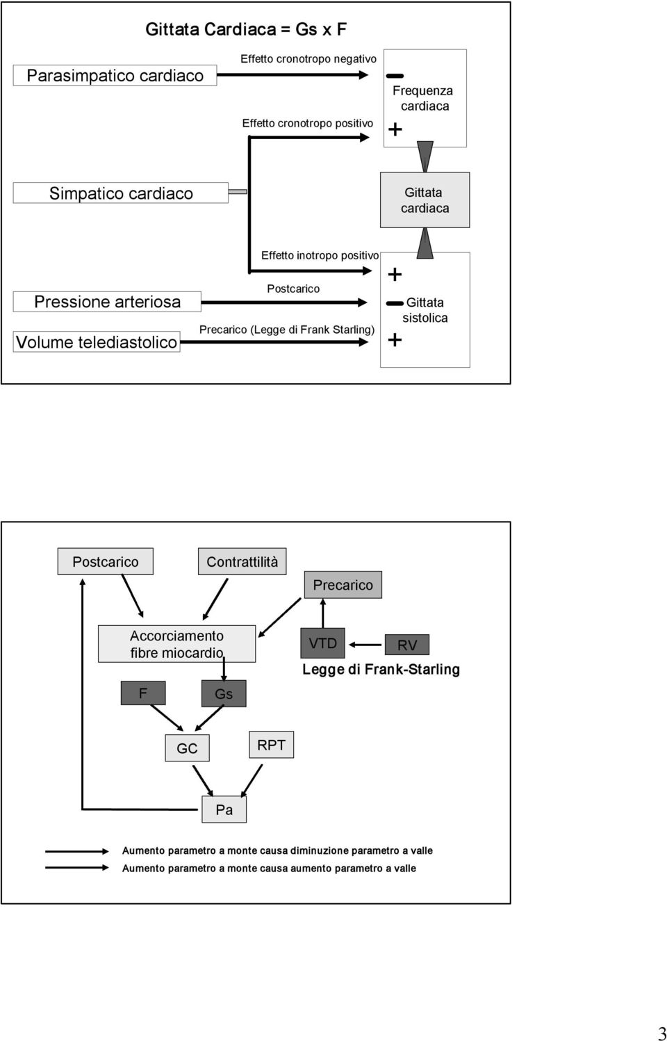 di Frank Starling) + + Gittata sistolica Postcarico Contrattilità Precarico Accorciamento fibre miocardio F Gs VTD RV Legge di Frank