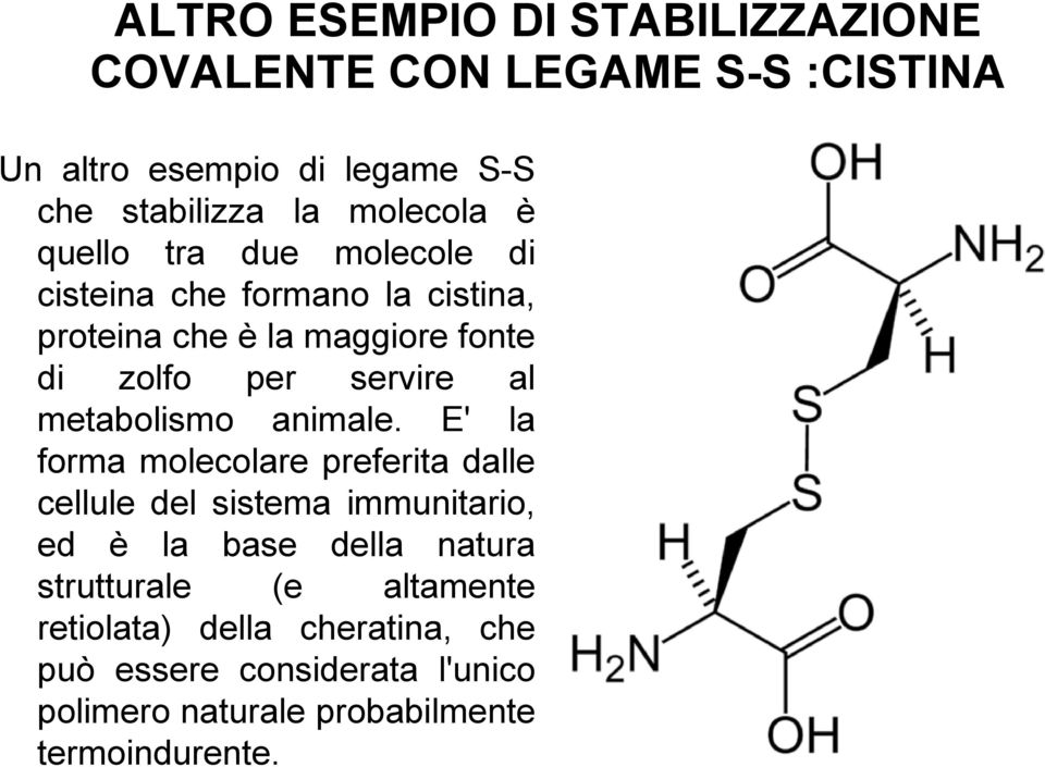 metabolismo animale.