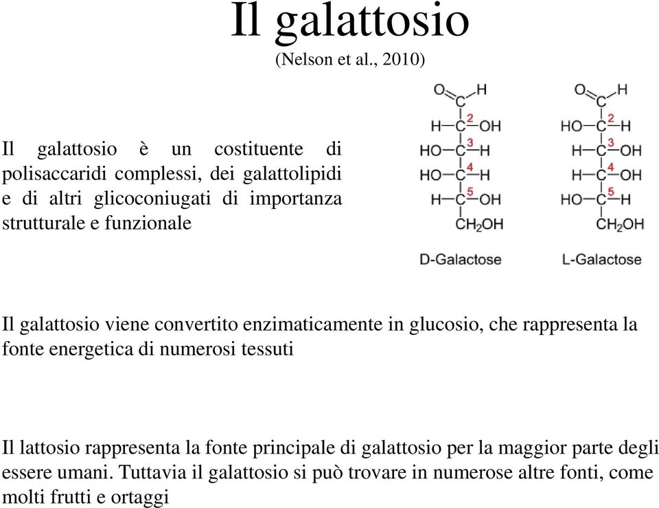 importanza strutturale e funzionale Il galattosio viene convertito enzimaticamente in glucosio, che rappresenta la fonte