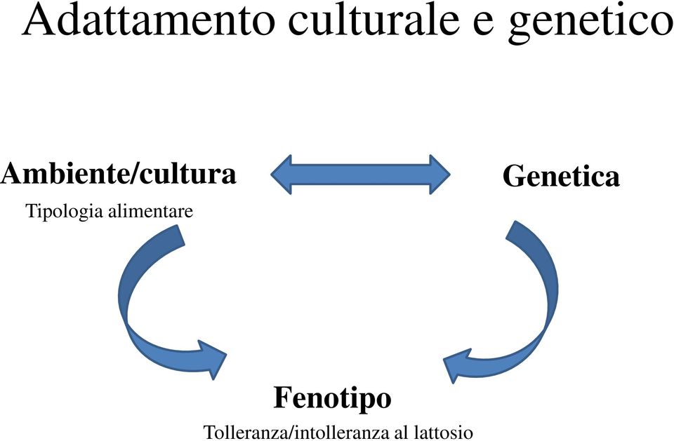 Tipologia alimentare Genetica