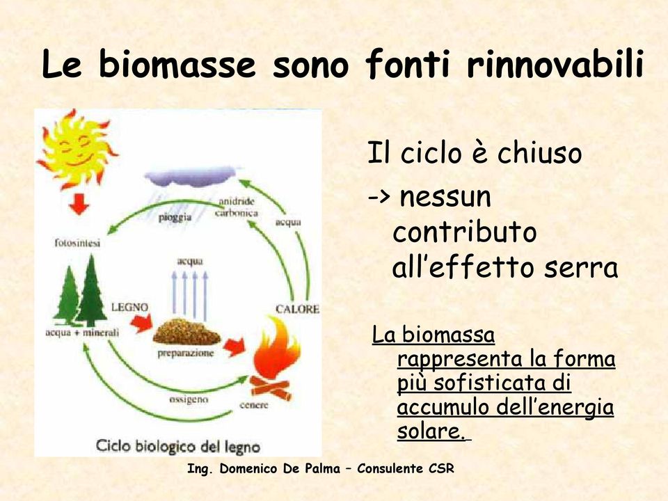 serra La biomassa rappresenta la forma più