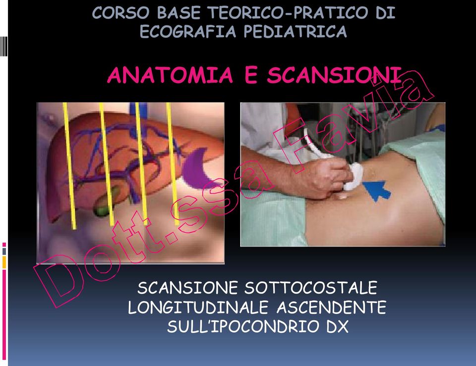 SCANSIONI SCANSIONE SOTTOCOSTALE