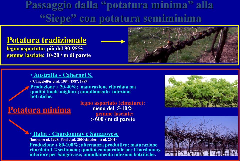 Pottur minim legno sportto (cimture): meno del 5-10% gemme lscite: > 600 / m di prete Itli - Chrdonny e Sngiovese (Icono et l. 1998; Poni et l.