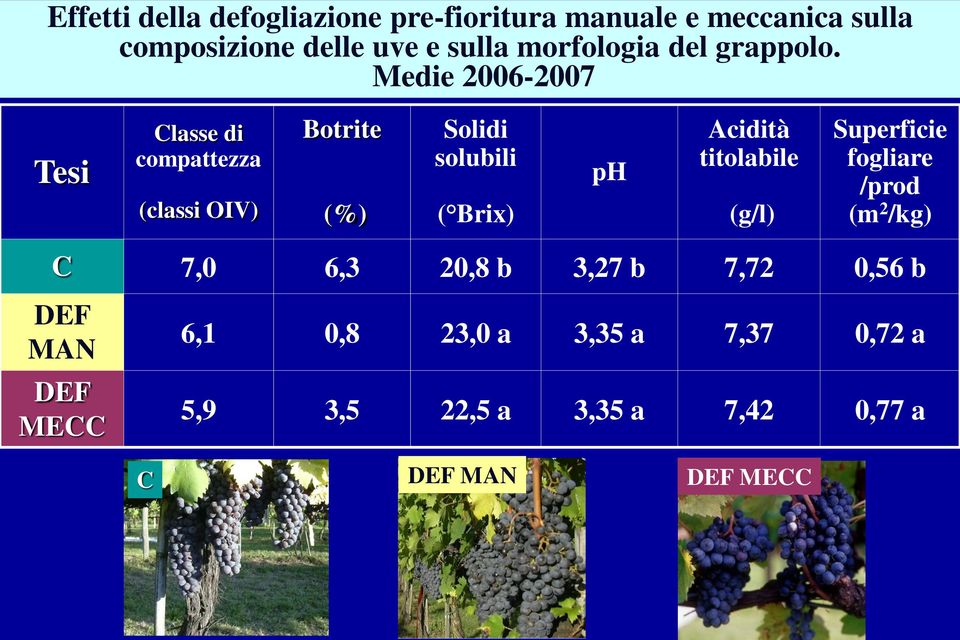 Medie 2006-2007 Tesi Clsse di compttezz (clssi OIV) Botrite (%) Solidi soluili ( Brix) ph