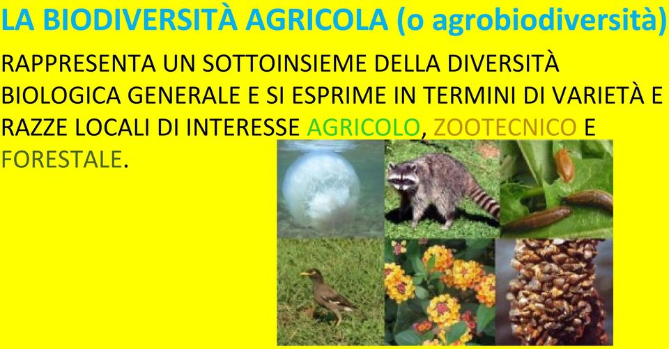 BIOLOGICA GENERALE E SI ESPRIME IN TERMINI DI