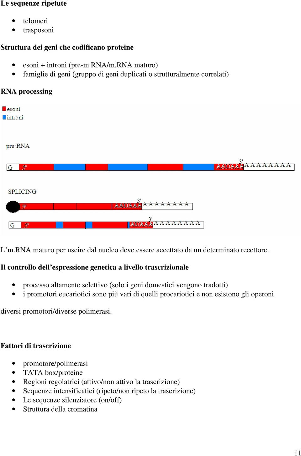 Il controllo dell espressione genetica a livello trascrizionale processo altamente selettivo (solo i geni domestici vengono tradotti) i promotori eucariotici sono più vari di quelli procariotici e