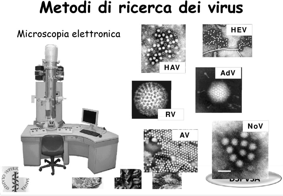 elettronica ttron ca HAV AdV RV AV