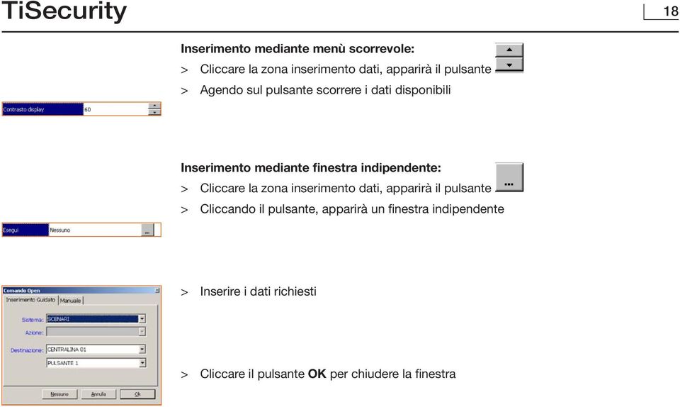 indipendente: > Cliccare la zona inserimento dati, apparirà il pulsante > Cliccando il pulsante,