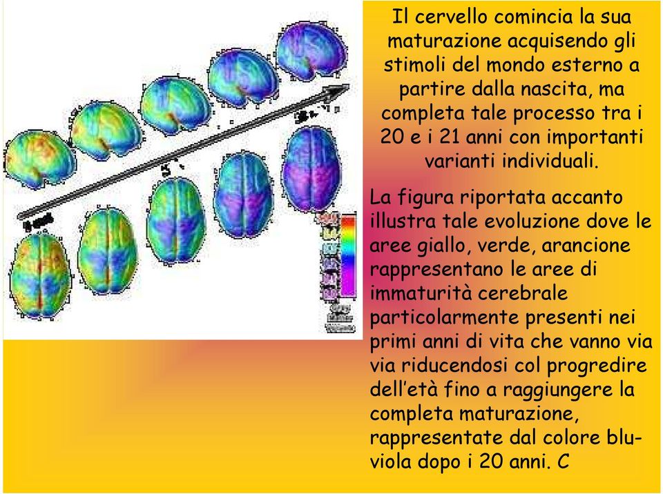 La figura riportata accanto illustra tale evoluzione dove le aree giallo, verde, arancione rappresentano le aree di immaturità