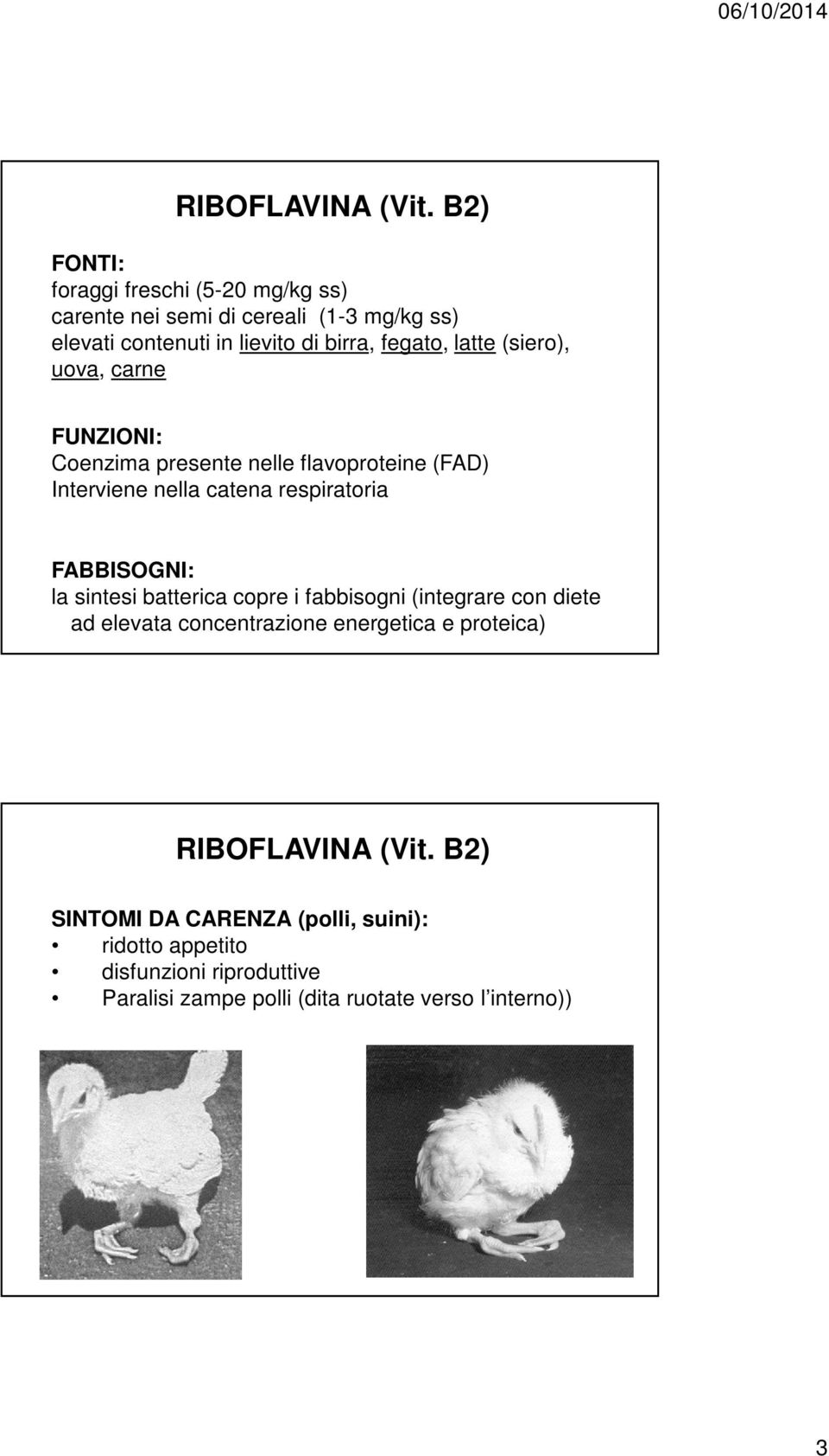 latte (siero), uova, carne Coenzima presente nelle flavoproteine (FAD) Interviene nella catena respiratoria FABBISOGNI: la sintesi