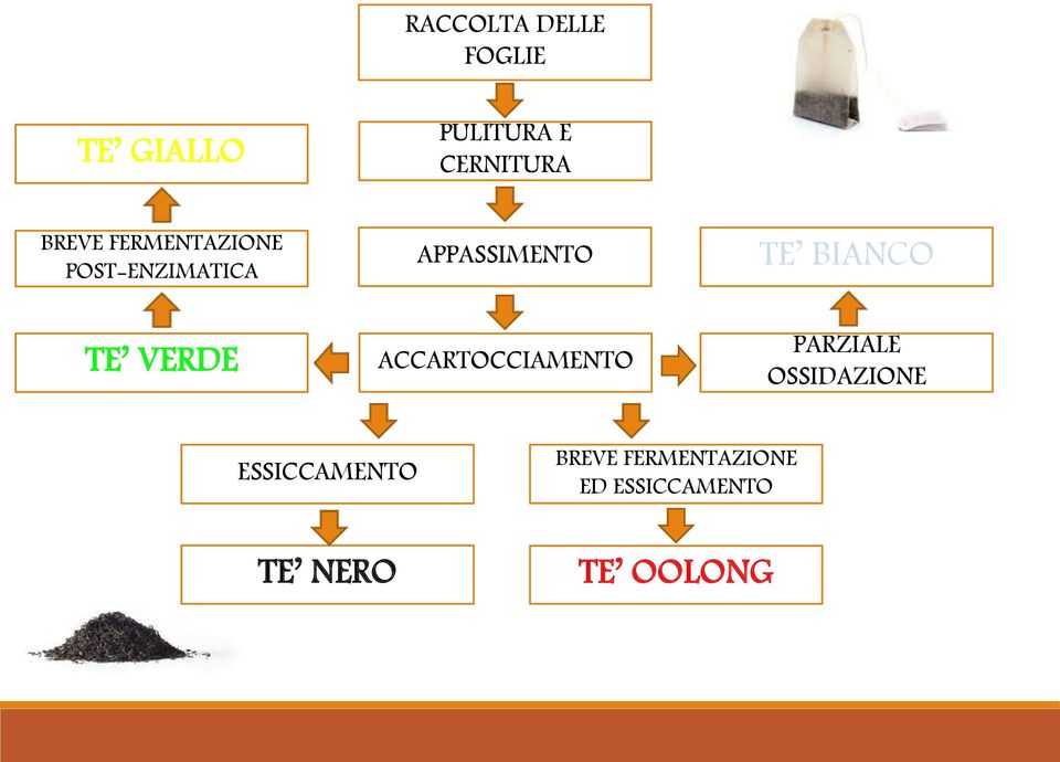 BIANCO TE VERDE ACCARTOCCIAMENTO PARZIALE OSSIDAZIONE