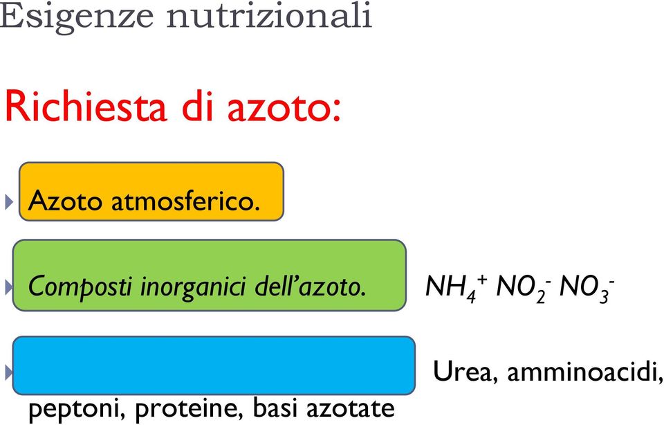 NH 4+ NO 2- NO 3 - Composti organici dell azoto.