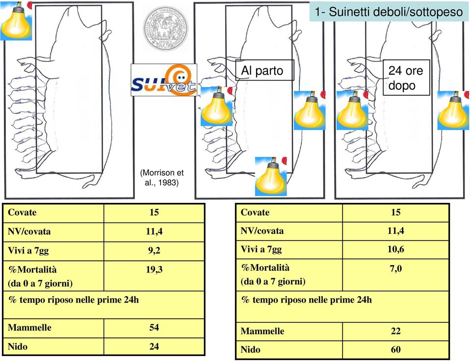 7gg 10,6 %Mortalità (da 0 a 7 giorni) 19,3 %Mortalità (da 0 a 7 giorni) 7,0 %