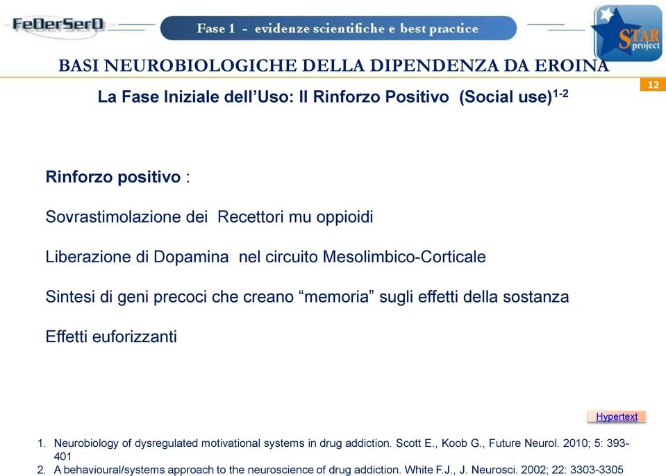 Effetti euforizzanti Hypertext 1. Neurobiology of dysregulated motivational systems in drug addiction. Scott E., Koob G.