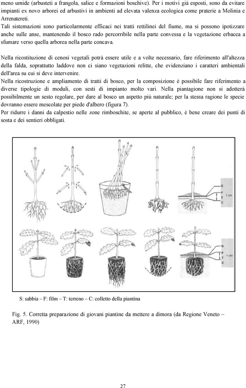 Tali sistemazioni sono particolarmente efficaci nei tratti rettilinei del fiume, ma si possono ipotizzare anche sulle anse, mantenendo il bosco rado percorribile nella parte convessa e la vegetazione