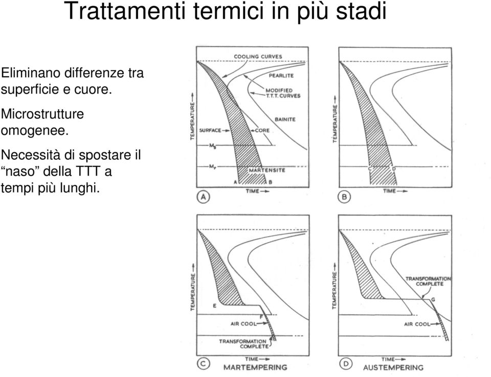 cuore. Microstrutture omogenee.