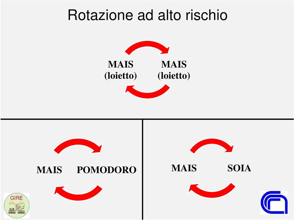 (loietto) MAIS