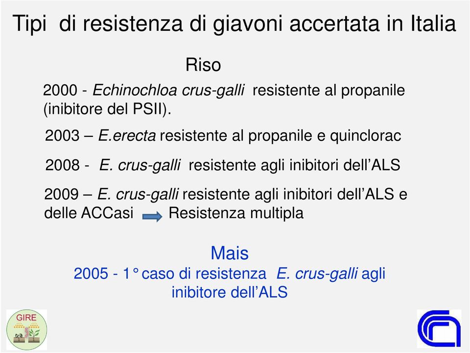 crus-galli resistente agli inibitori dell ALS 2009 E.