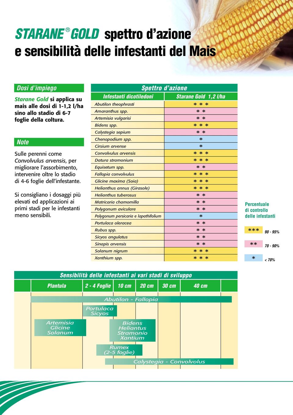 Si consigliano i dosaggi più elevati ed applicazioni ai primi stadi per le infestanti meno sensibili. Spettro d azione Infestanti dicotiledoni 1,2 l/ha Abutilon theophrasti Amaranthus spp.