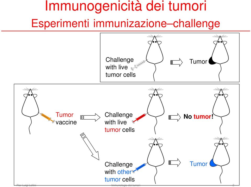 vaccine Challenge with live tumor cells No tumor!