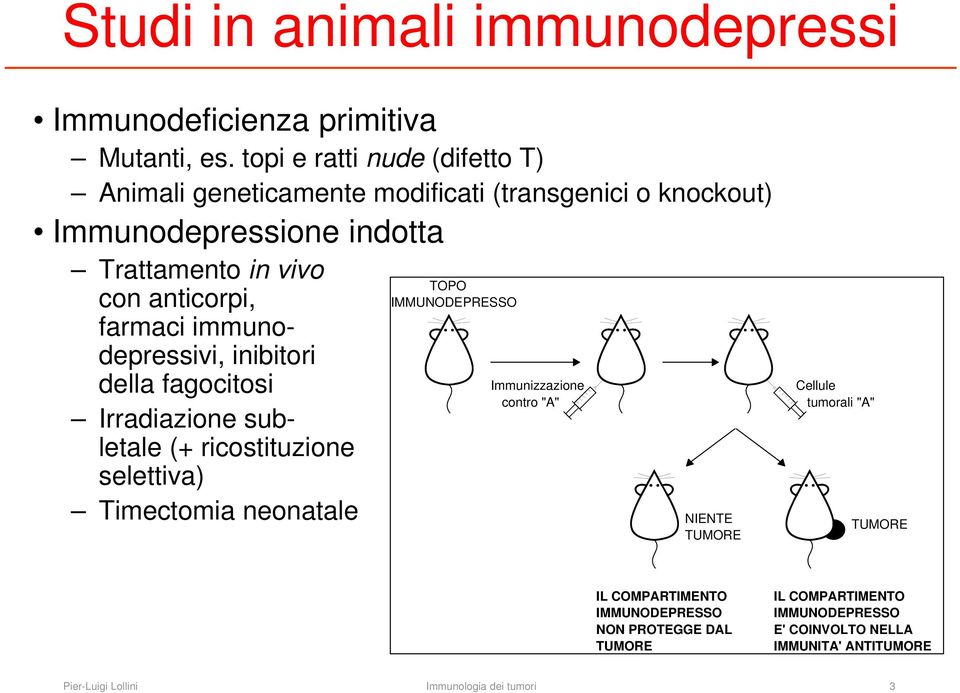 farmaci immunodepressivi, inibitori della fagocitosi Irradiazione subletale (+ ricostituzione selettiva) Timectomia neonatale TOPO IMMUNODEPRESSO