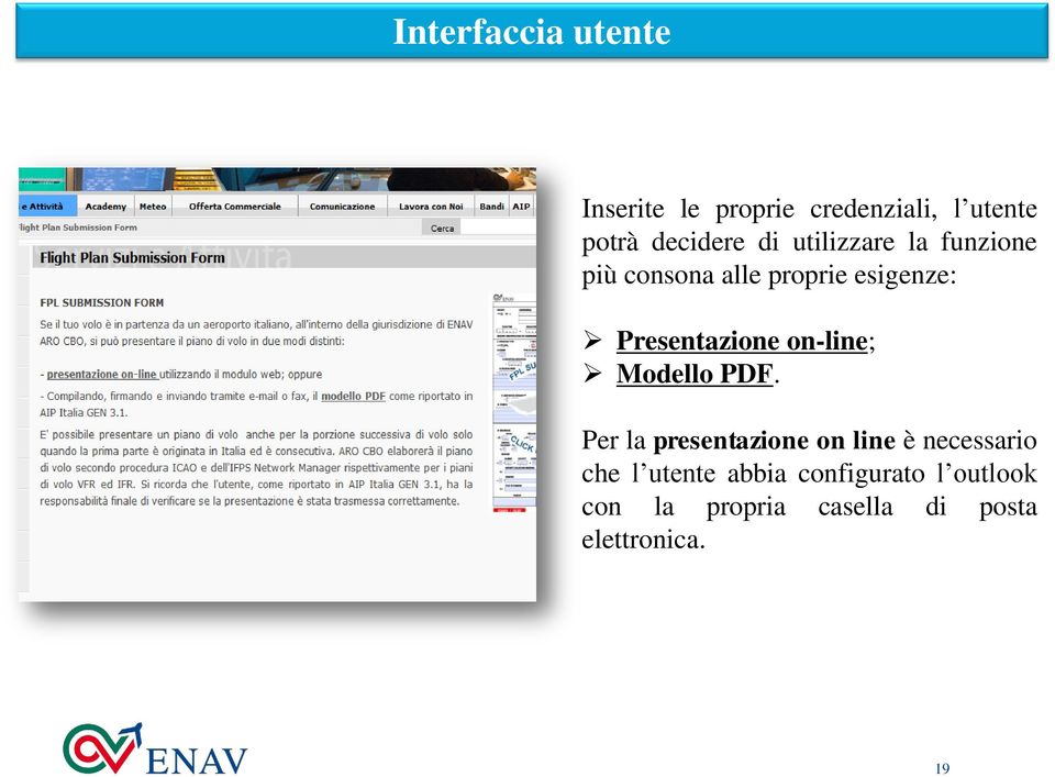 on-line; Modello PDF.
