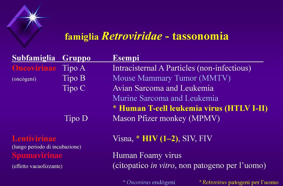 Sarcoma and Leukemia * Human T-cell leukemia virus (HTLV I-II) Tipo D Mason Pfizer monkey (MPMV) Lentivirinae (lungo periodo di