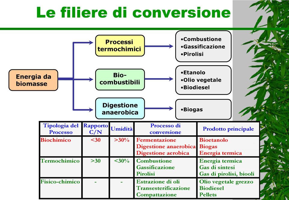 Digestione anaerobica Digestione aerobica Termochimico >30 <30% Combustione Gassificazione Pirolisi Fisico-chimico - - Estrazione di oli