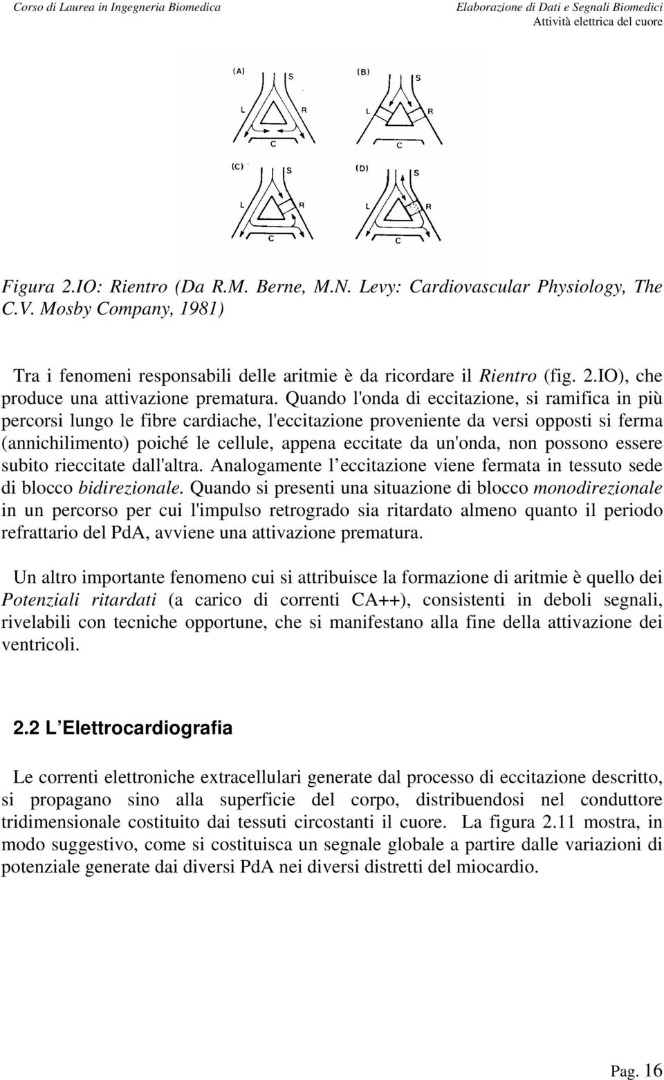 non possono essere subito rieccitate dall'altra. Analogamente l eccitazione viene fermata in tessuto sede di blocco bidirezionale.