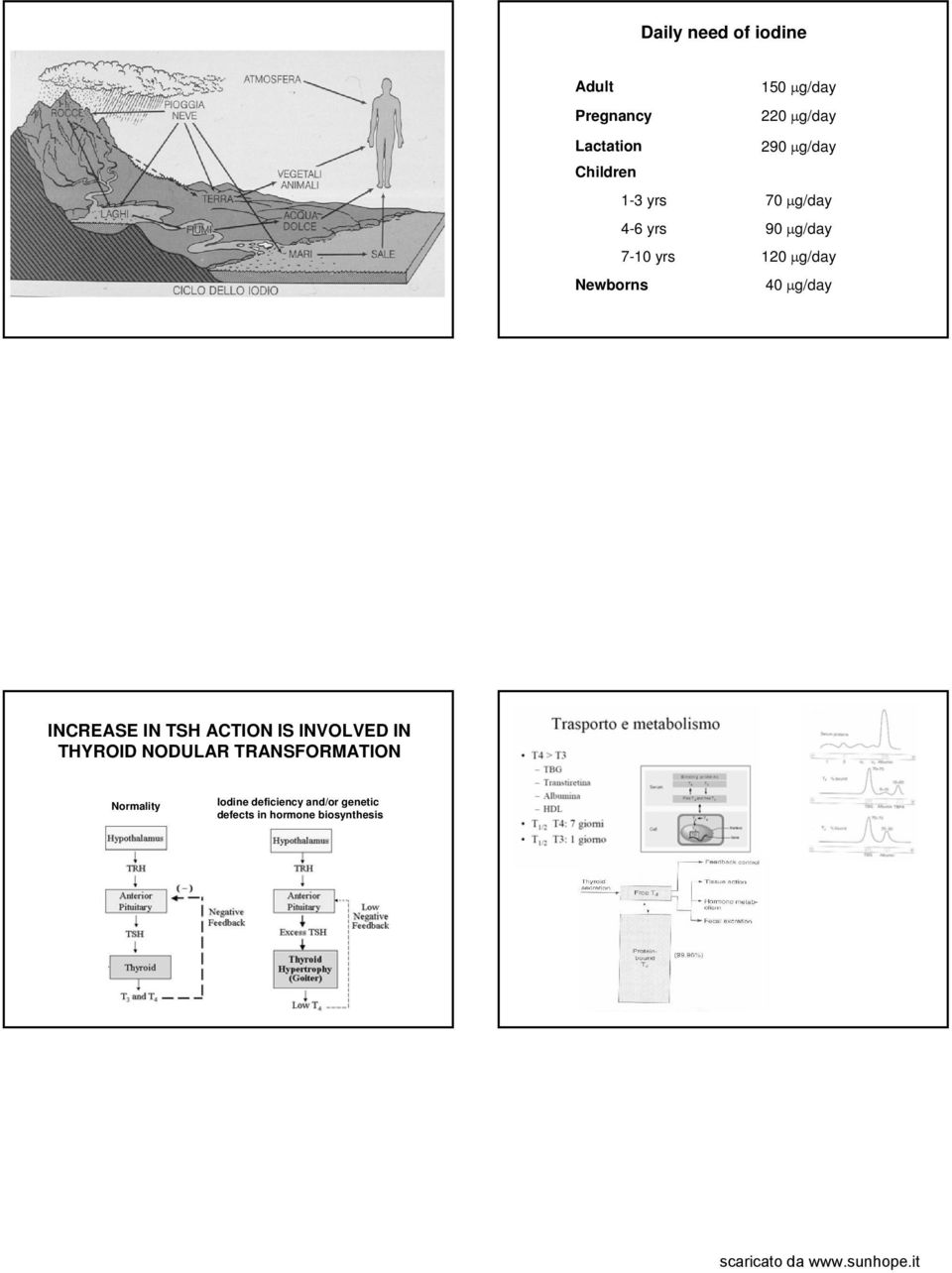 Newborns 40 μg/day INCREASE IN TSH ACTION IS INVOLVED IN THYROID NODULAR