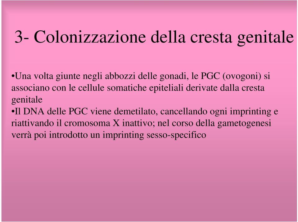 genitale Il DNA delle PGC viene demetilato, cancellando ogni imprinting e riattivando il