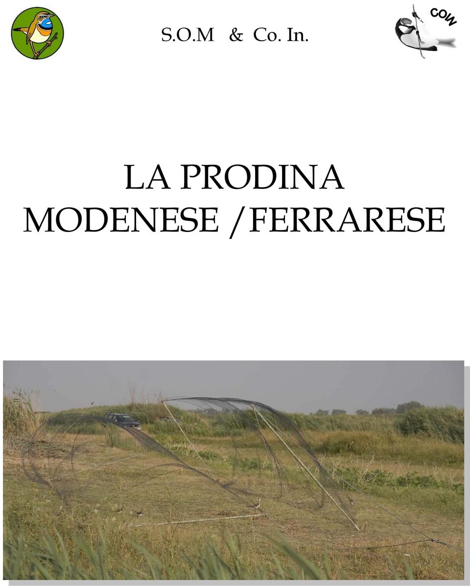 PRODINA