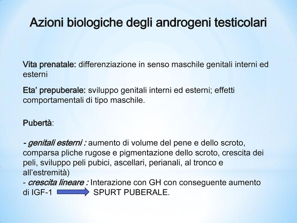 Pubertà: - genitali esterni : aumento di volume del pene e dello scroto, comparsa pliche rugose e pigmentazione dello scroto,